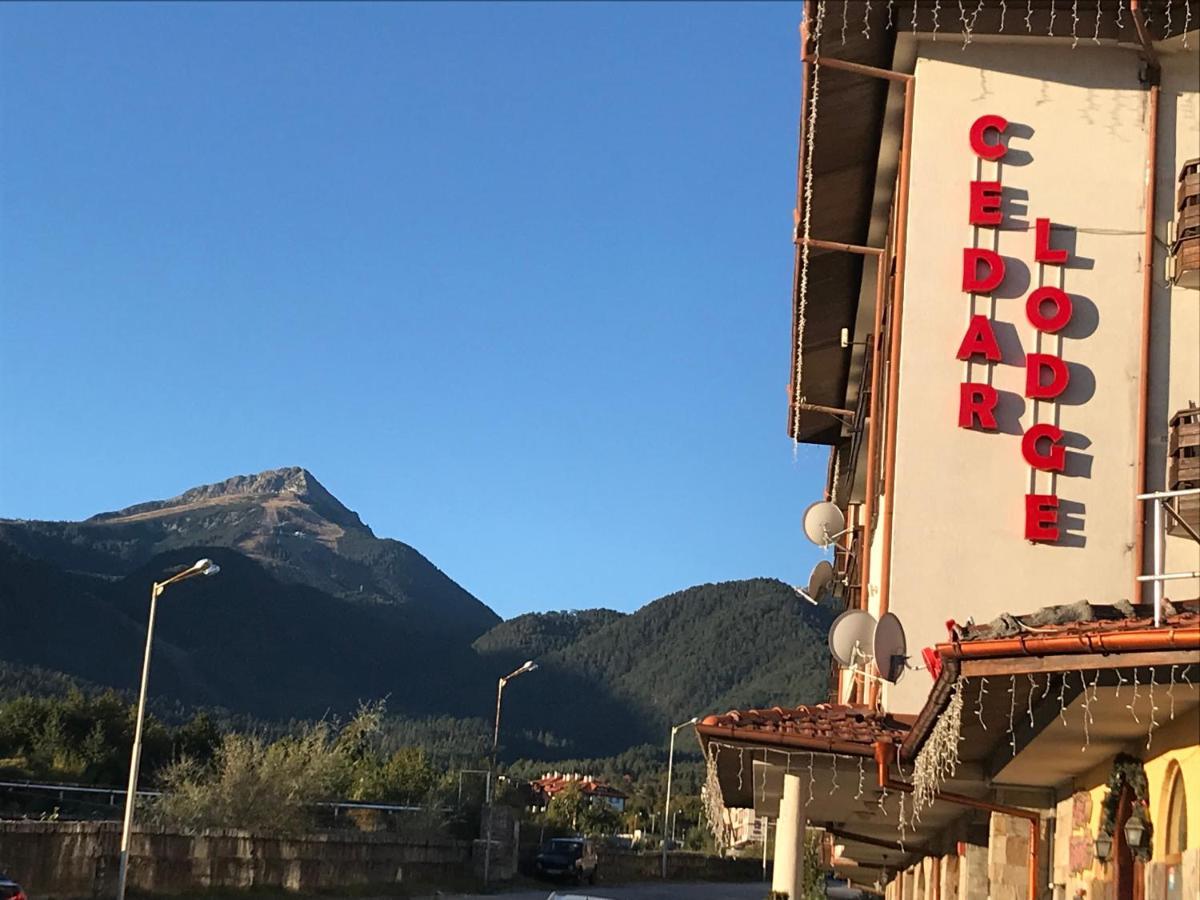 Ski Zone At Gondola, Perfect One Bdrm, Fast Wifi, Netflix, Quiet, Warm Bansko Exterior photo