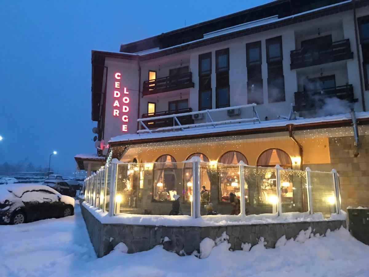 Ski Zone At Gondola, Perfect One Bdrm, Fast Wifi, Netflix, Quiet, Warm Bansko Exterior photo